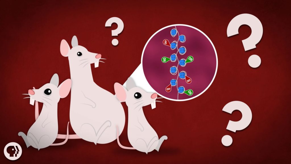 Вся ли наследственность в наших генах? – иллюстрация к материалу на Naked Science