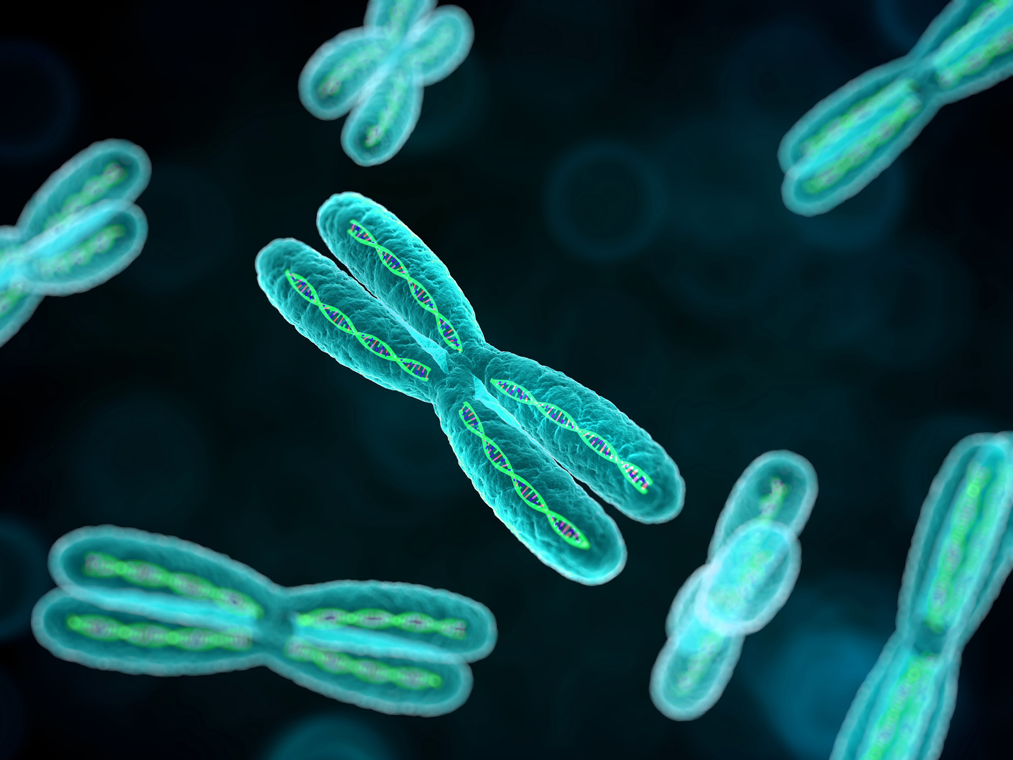Хромосомные мутации методы генетики. Генетика хромосомы. Хромосомы фото. Хромосомы в микроскопе. Хромомосмная инженерия.