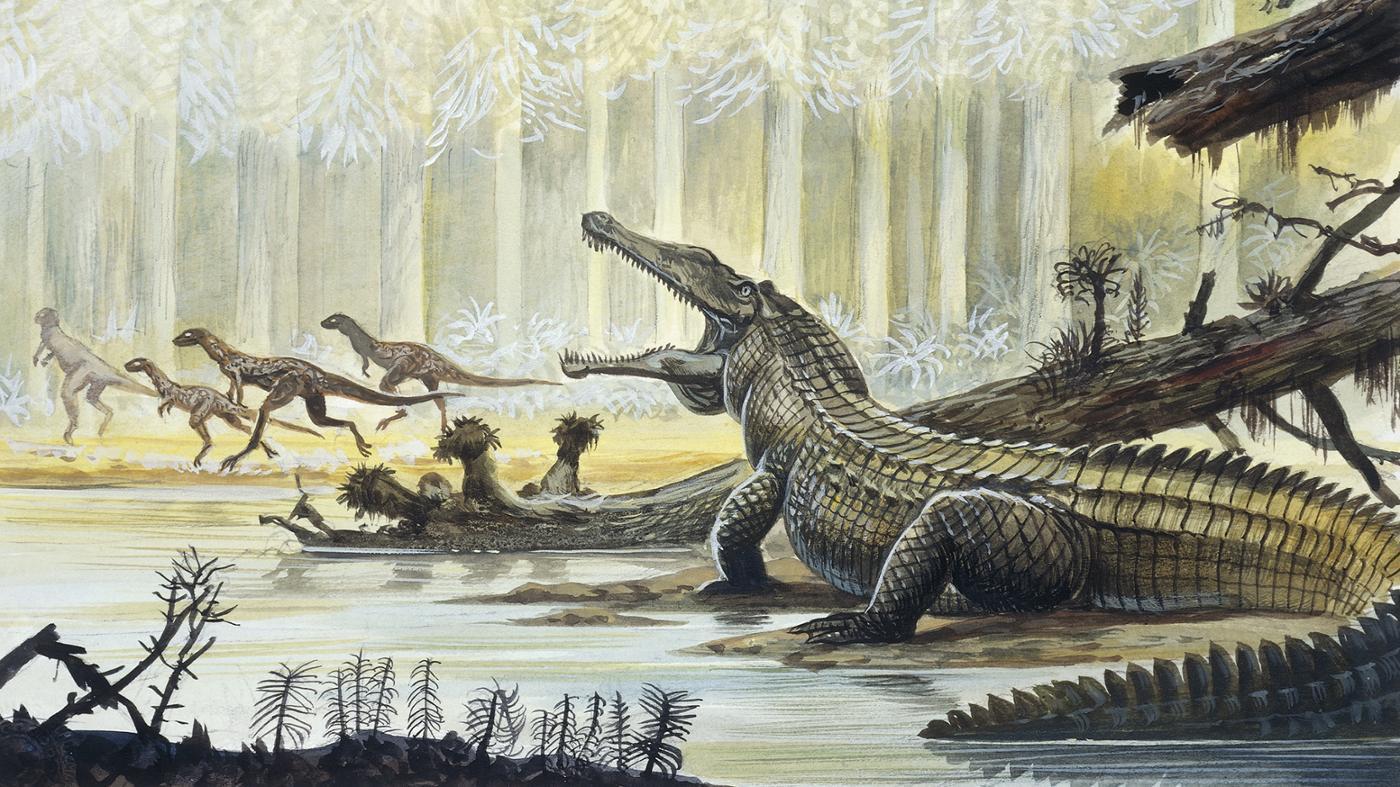 Древние времена динозавров. Рептилии Триасового периода. Динозавры Триасового периода. Триасовый период мезозойской эры. Юрский период мезозойской эры.