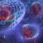 Ученые открыли исцеляющие свойства клеток с дополнительной ДНК
