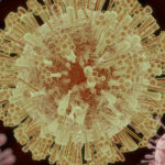 Ученые нашли белок, скрывающий вирус Зика от иммунной системы