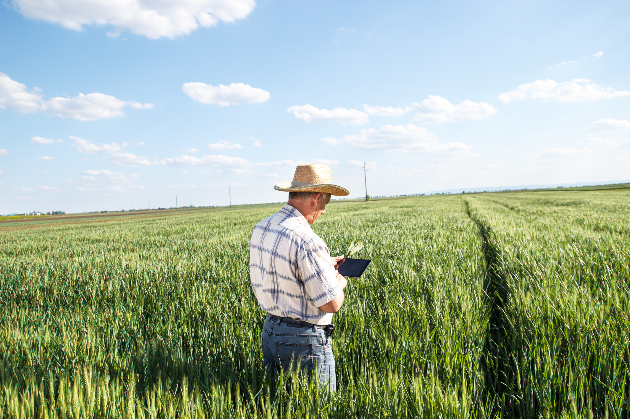 agriculture-iot-internet-of-things