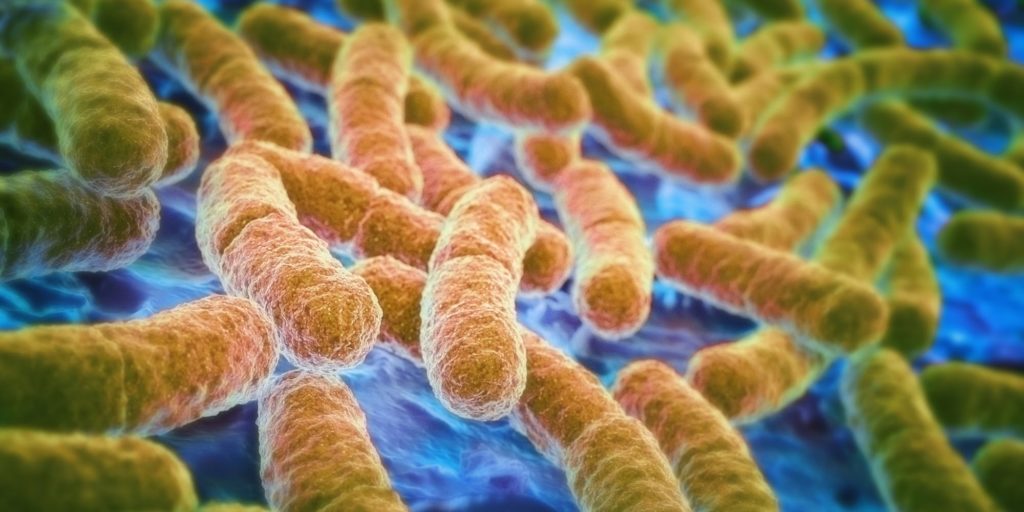 Дефицит клетчатки в рационе связали с пищевыми аллергиями – иллюстрация к материалу на Naked Science