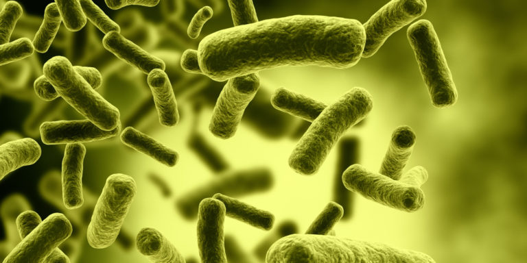 o-bacteria-facebook