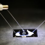 Графеновый чип с ДНК-зондом научили «шпионить» за генетическими мутациями