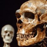 Неандертальцев Северной Европы уличили в каннибализме