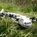 Разработчики показали жуткого робота-саламандру