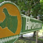 hipopotamos_sign
