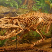 postosuchus