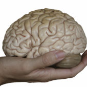 brain-in-hand
