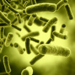 Обнаружена новая бактерия, неуязвимая к антибиотикам