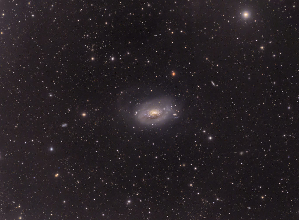 m63lrgbvermetter