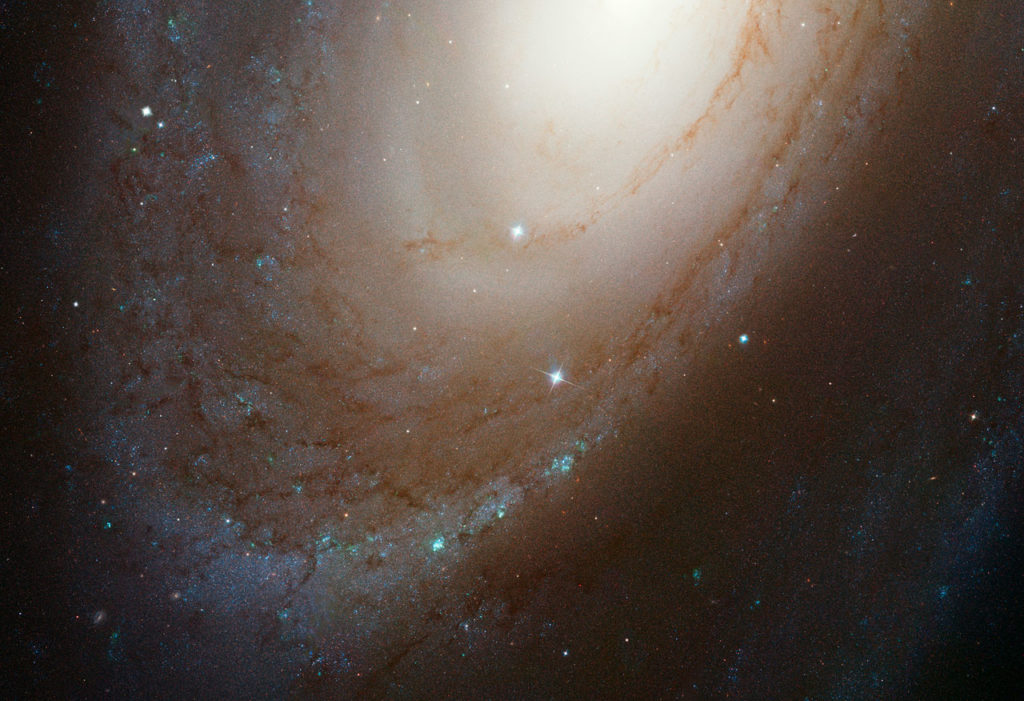 opo1438b