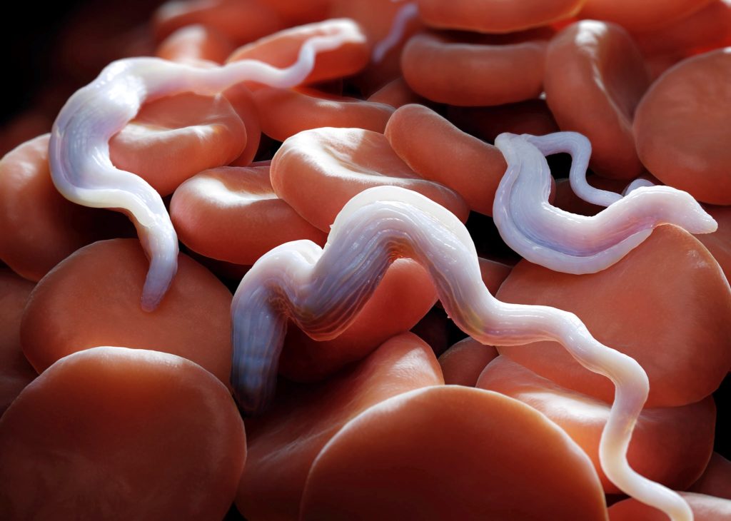 1-sleeping-sickness-corbis