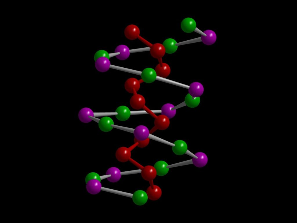 123733_web