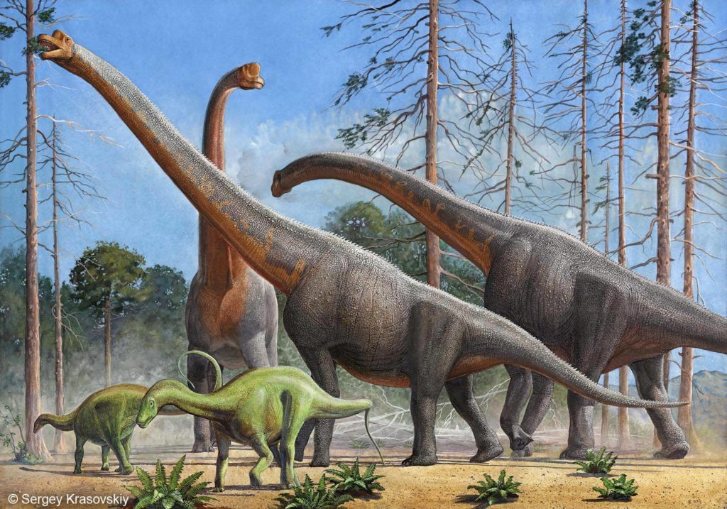 giraffatitan
