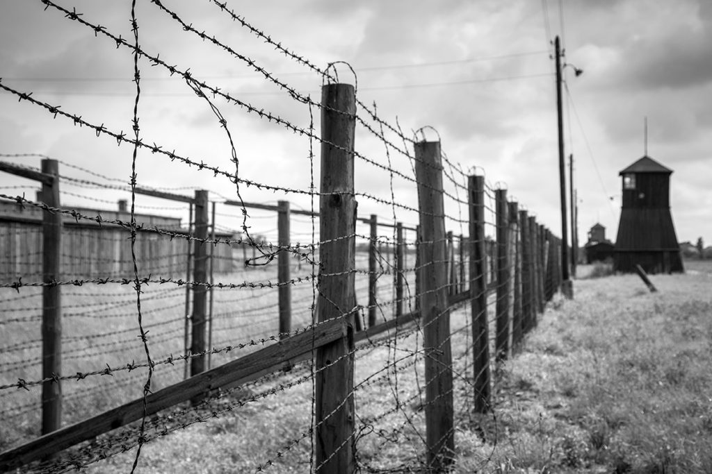 holocaust-studies