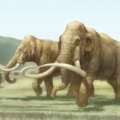 mammoth-for-scale