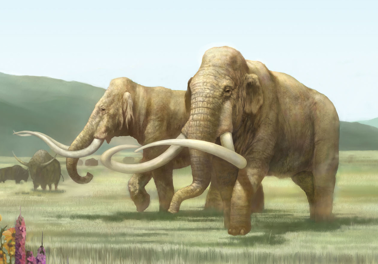 mammoth-for-scale