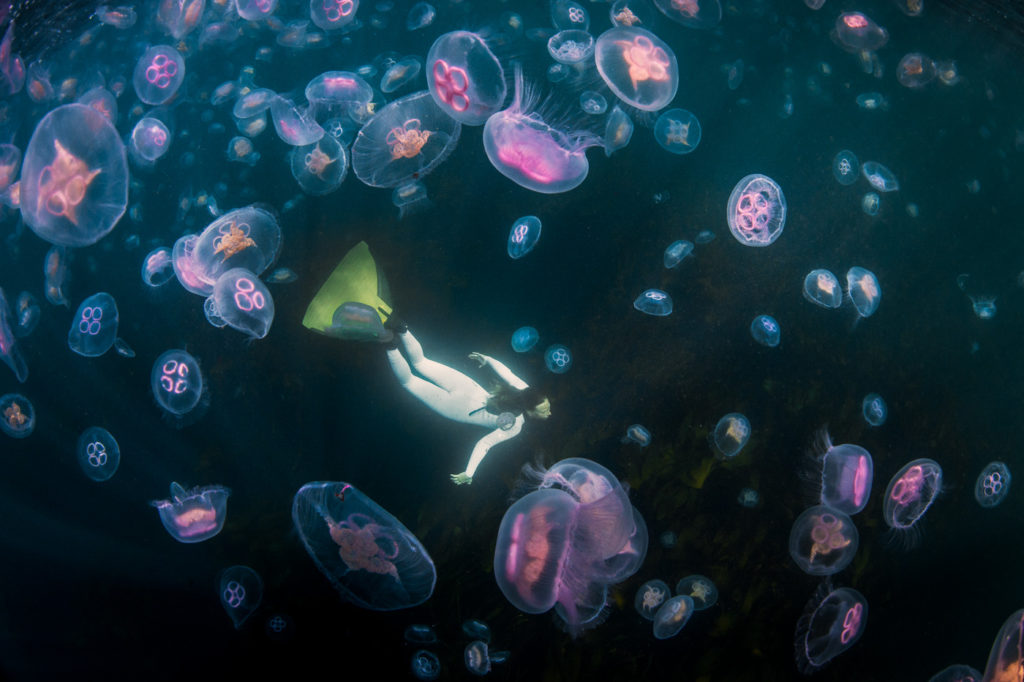 mermaid_swim_with_moon_jellyfish