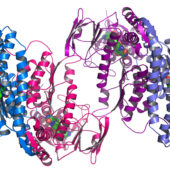 argonnes_midwest_center_for_structural_genomics_deposits_1000th_protein_structure