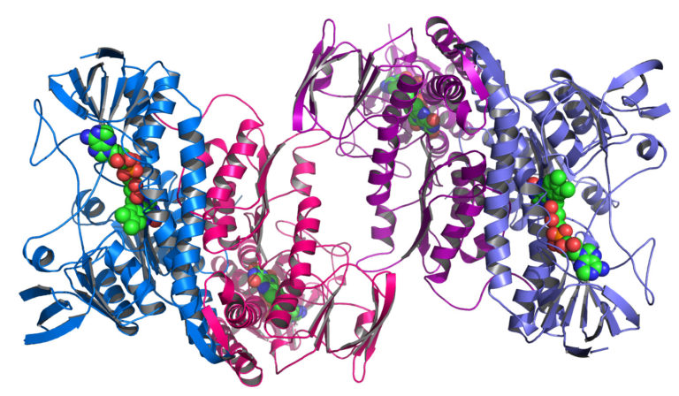 argonnes_midwest_center_for_structural_genomics_deposits_1000th_protein_structure