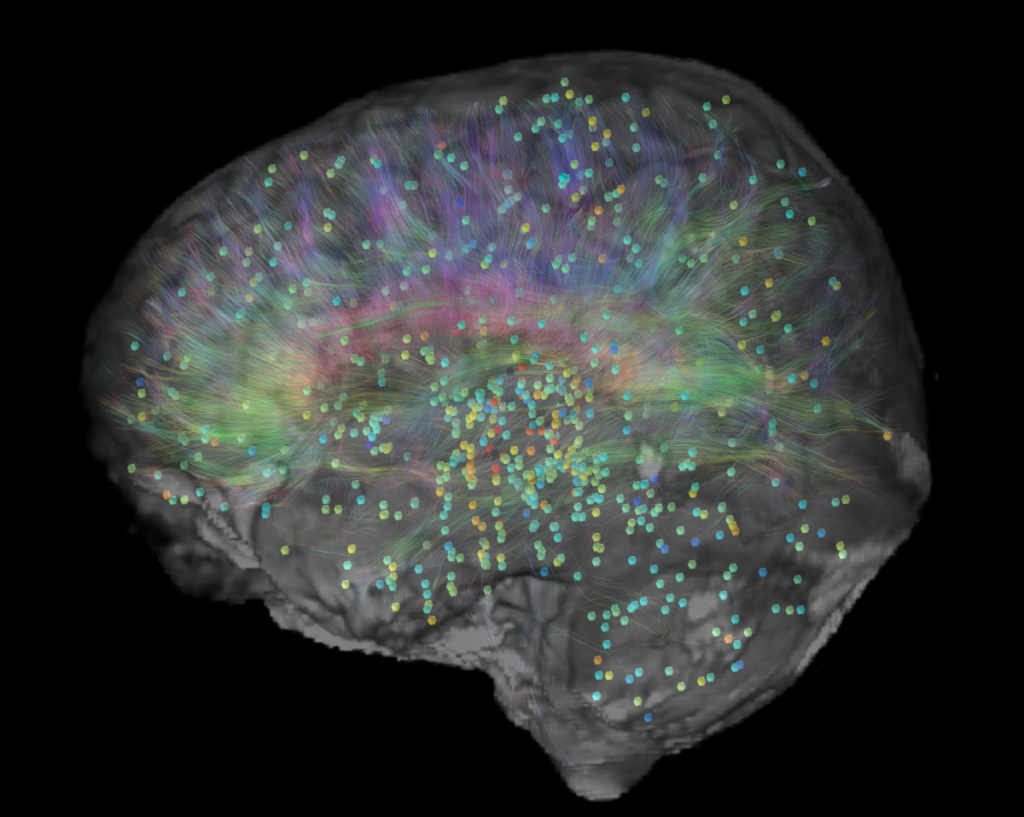brain-explorer-1200x958