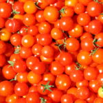 Потерю вкуса у томатов при охлаждении связали с метилированием ДНК