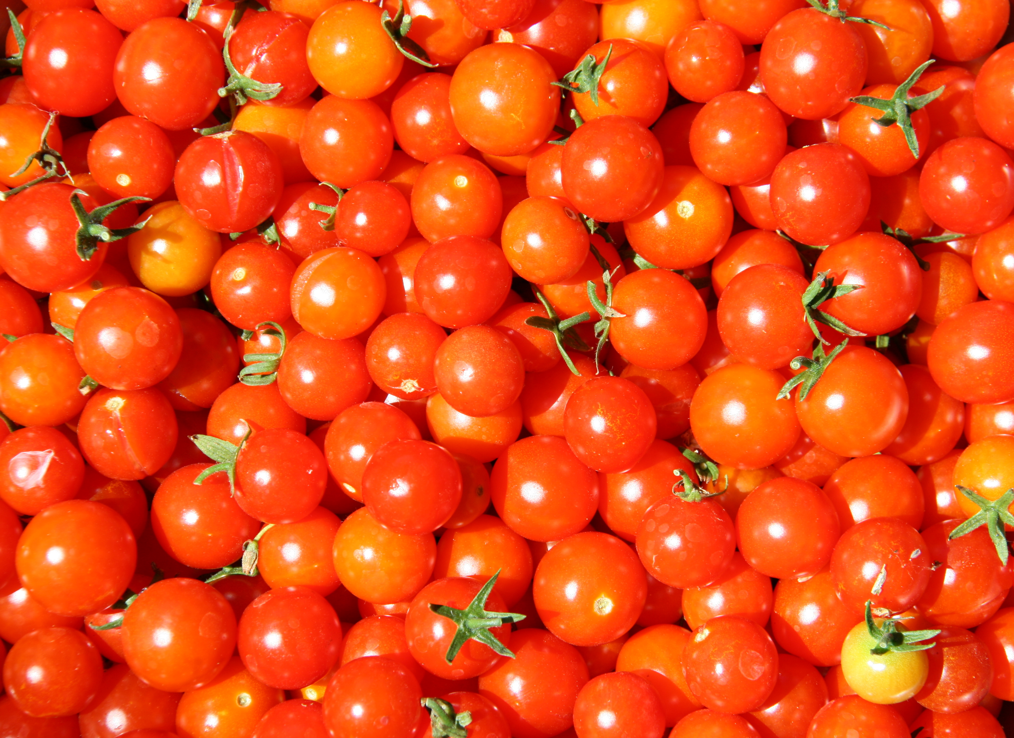 cherry_tomatoes