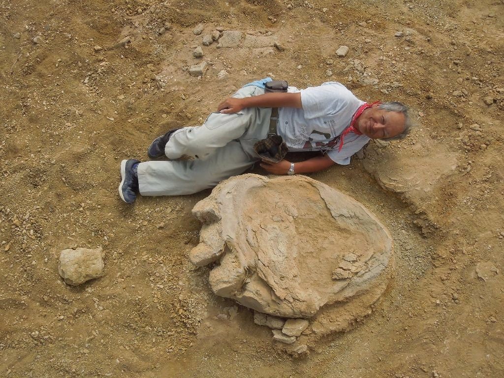 dino_print