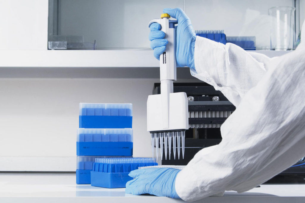 lab