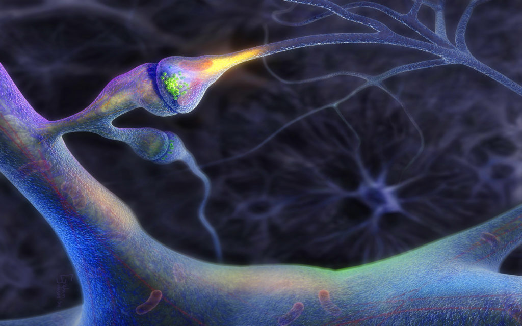 neuronwallpaper1