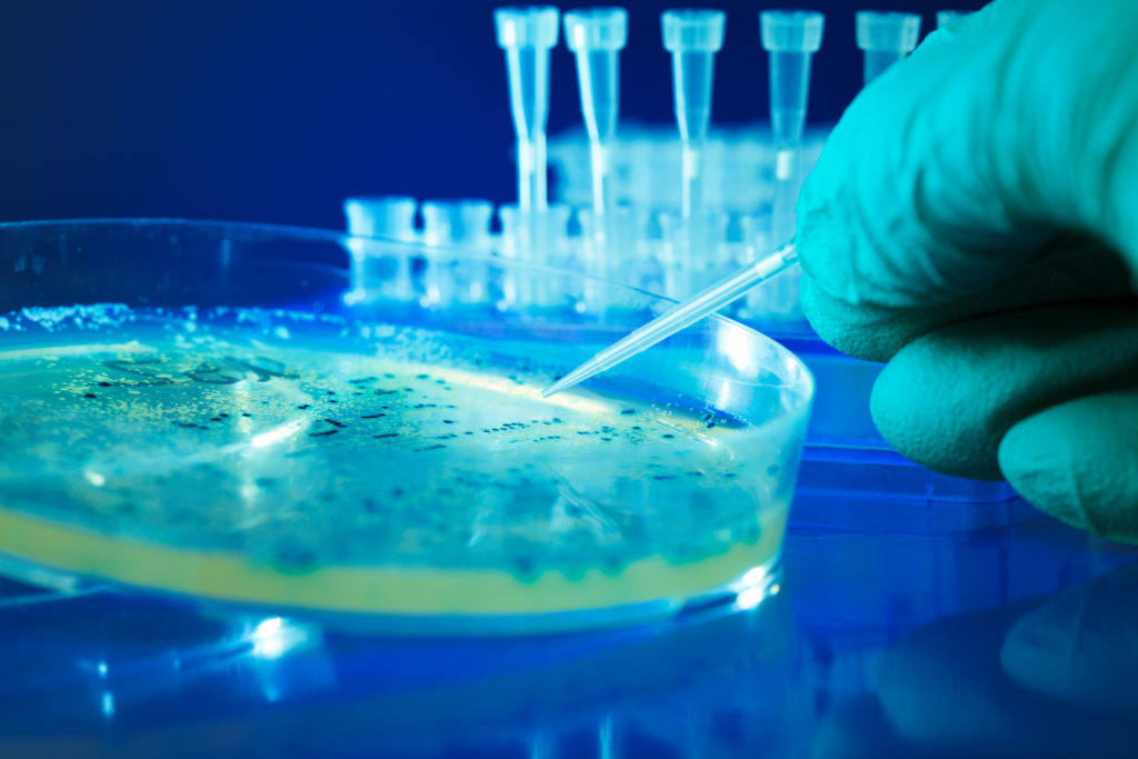 stem-cell