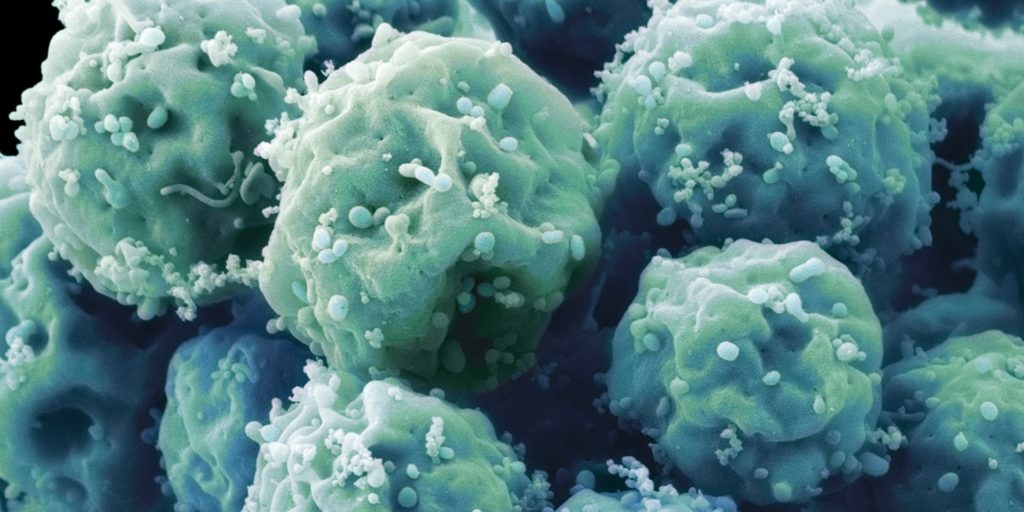 stem-cell-image-2