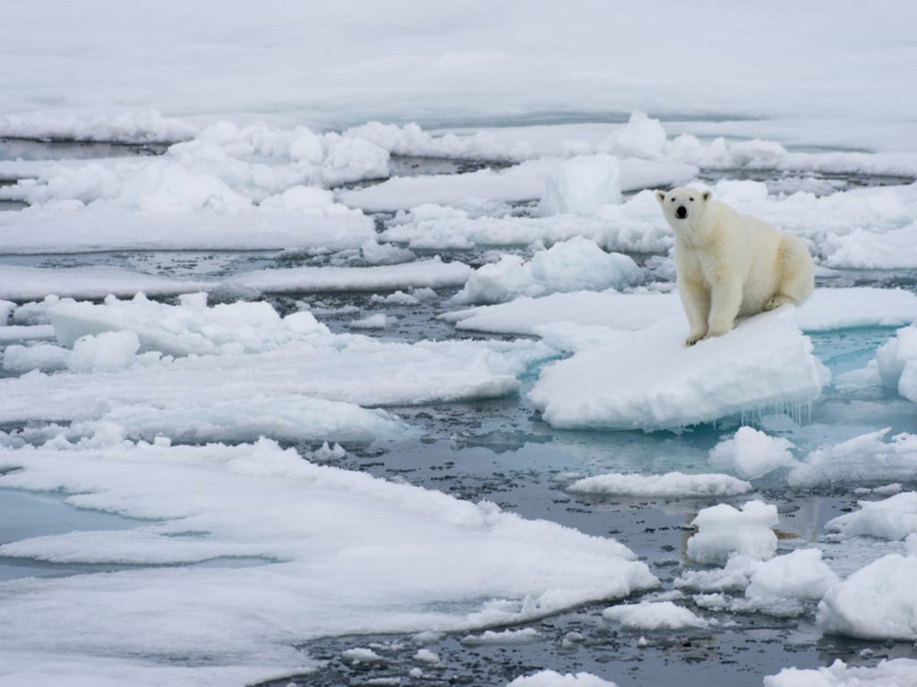 25-sea-ice-arctic-get