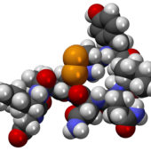 oxytocin_molecule_wikimed_0