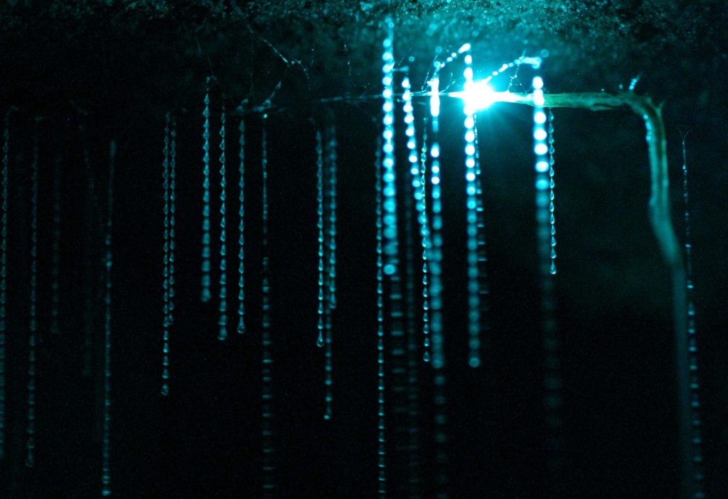 0_849bb_94c73317_orig