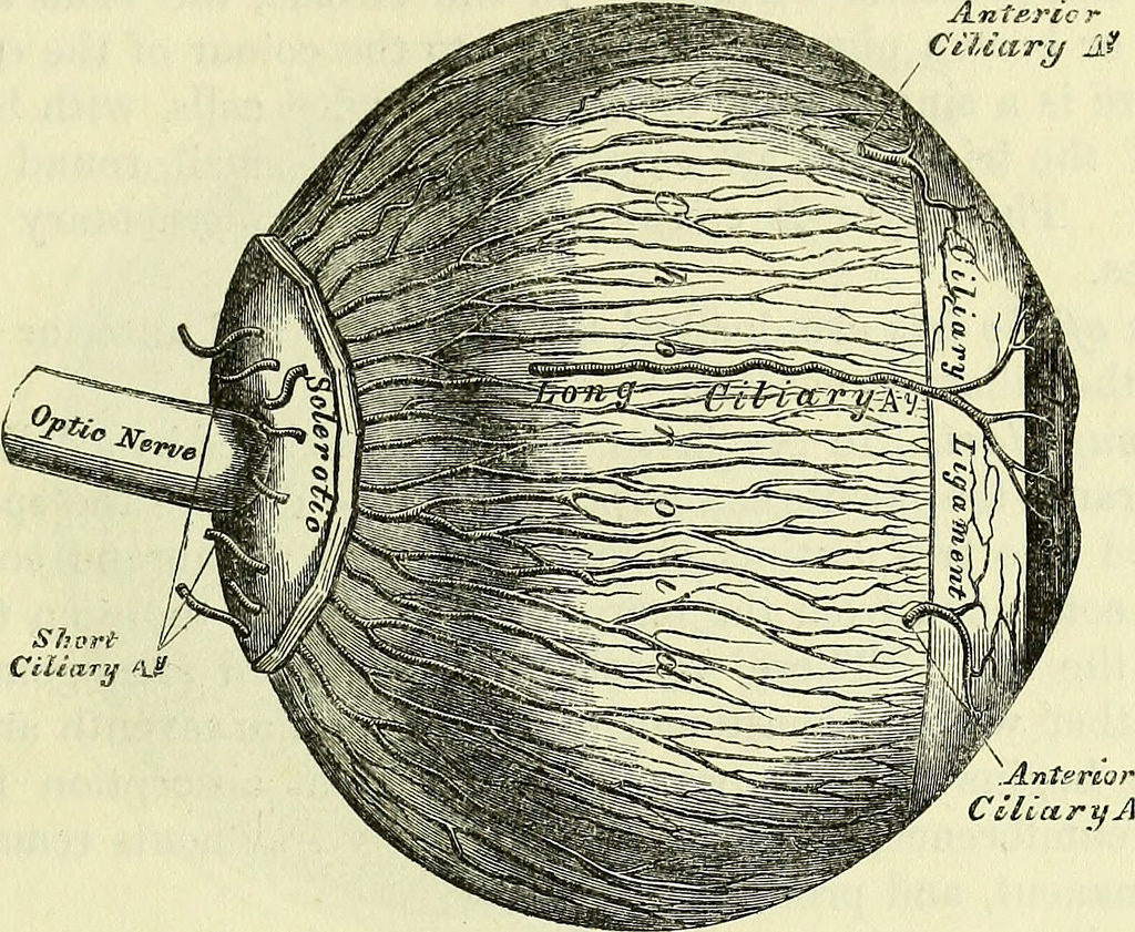 14741905956_20ef0b8b1f_b