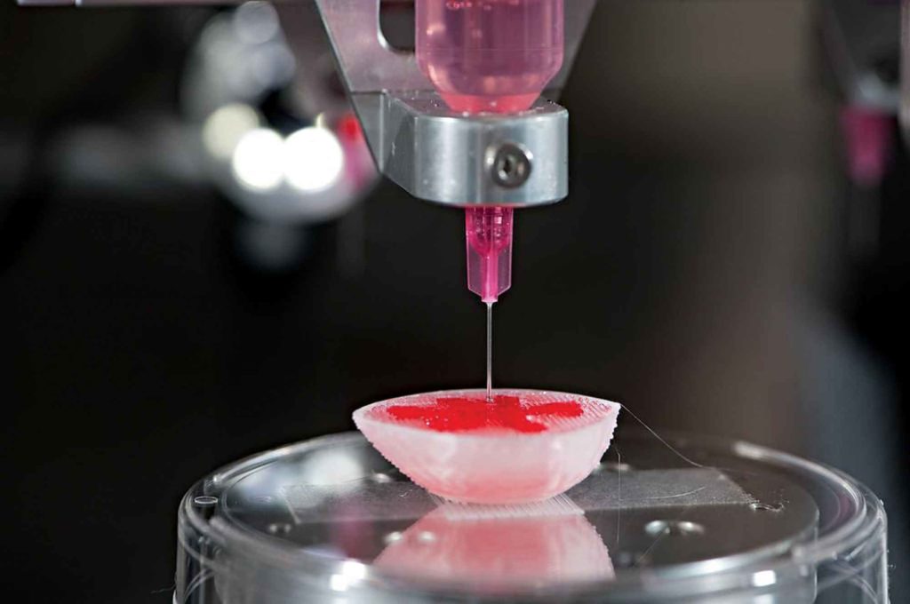 3dbio