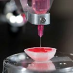 На МКС произведут 3D-печать живых тканей
