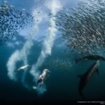 Nature Photographer of the Year: итоги