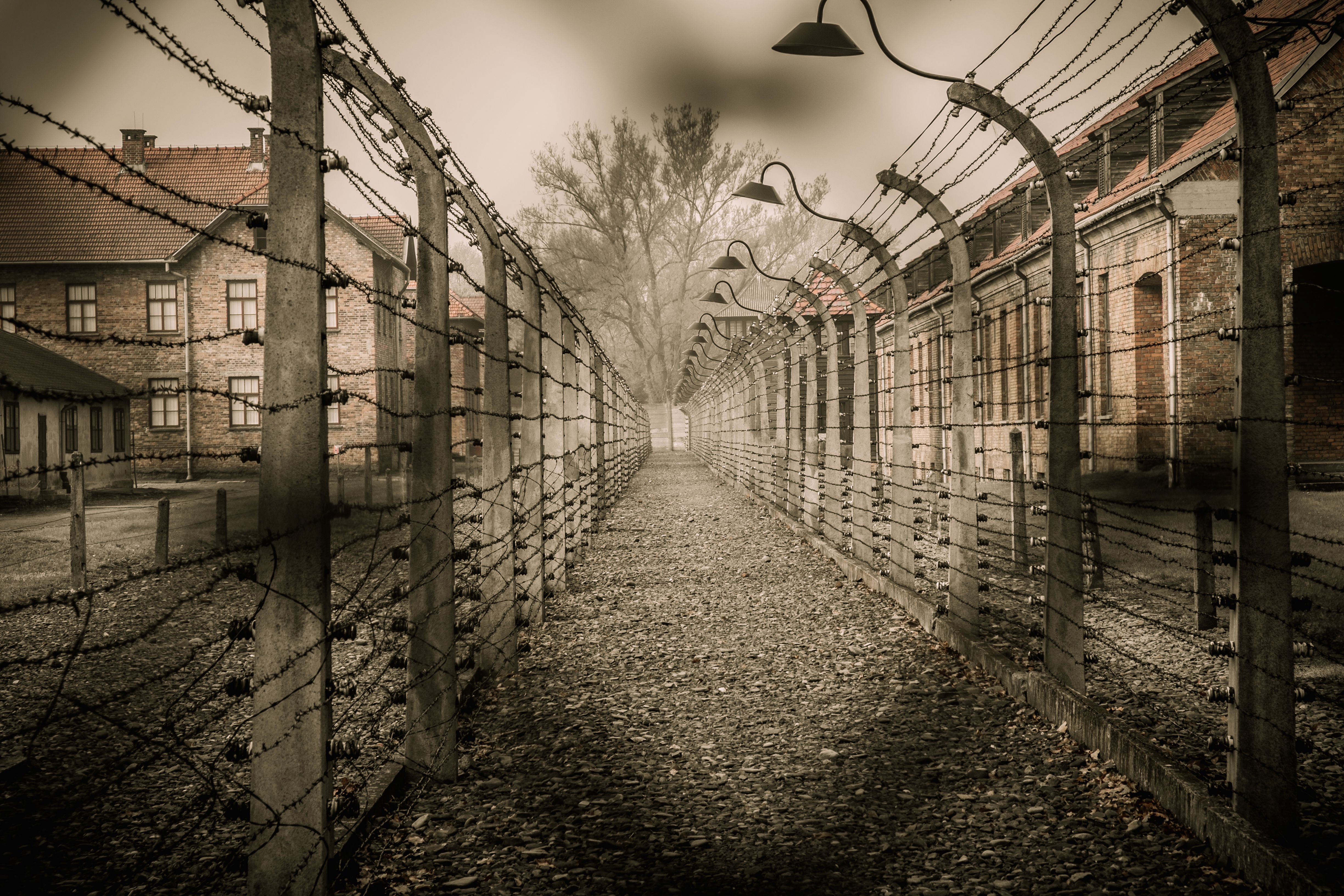 Редкие фото из Освенцима привезли в Воронеж - Российская газета