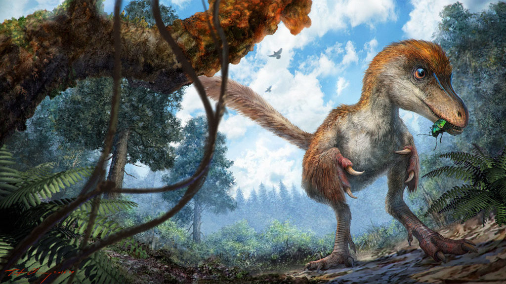 ep_xingmckellar_maniraptora_amber-by-cheung-chung-tat_jpg_16x9