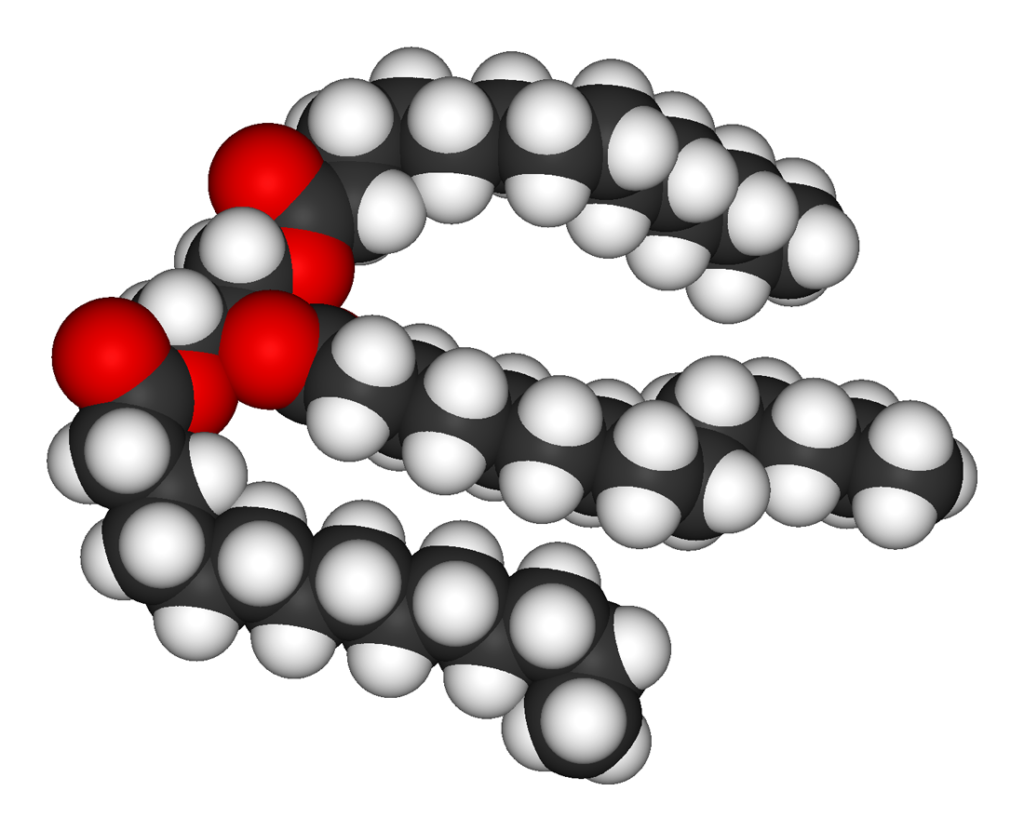 fat-molecule
