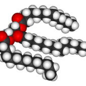 fat-molecule