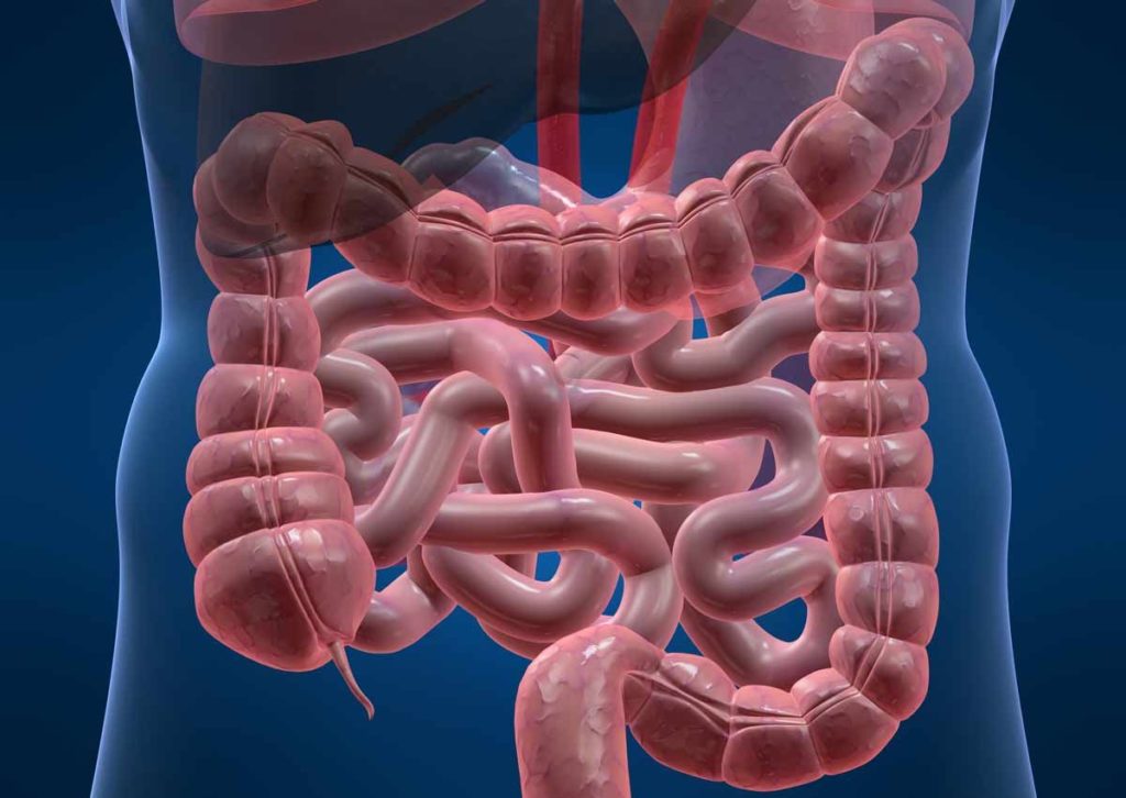gut-skin-axis
