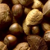 nuts_7809ef5f9e94c