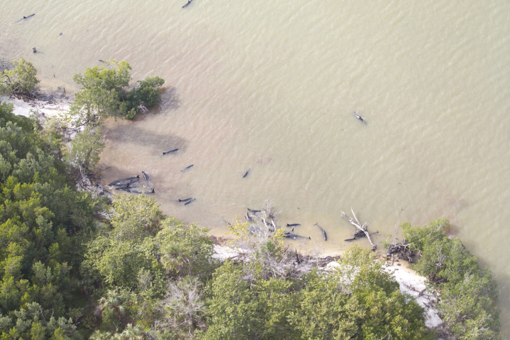 aerial_view_photo_credit_nps