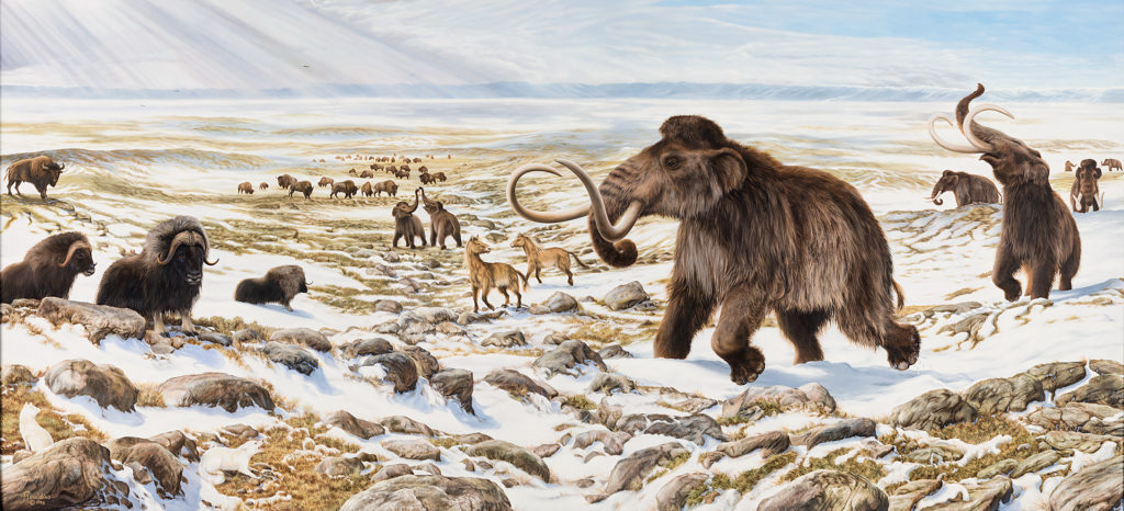beringia-winter-scene-pano