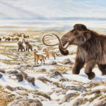 Палеонтологи датировали освоение Северной Америки